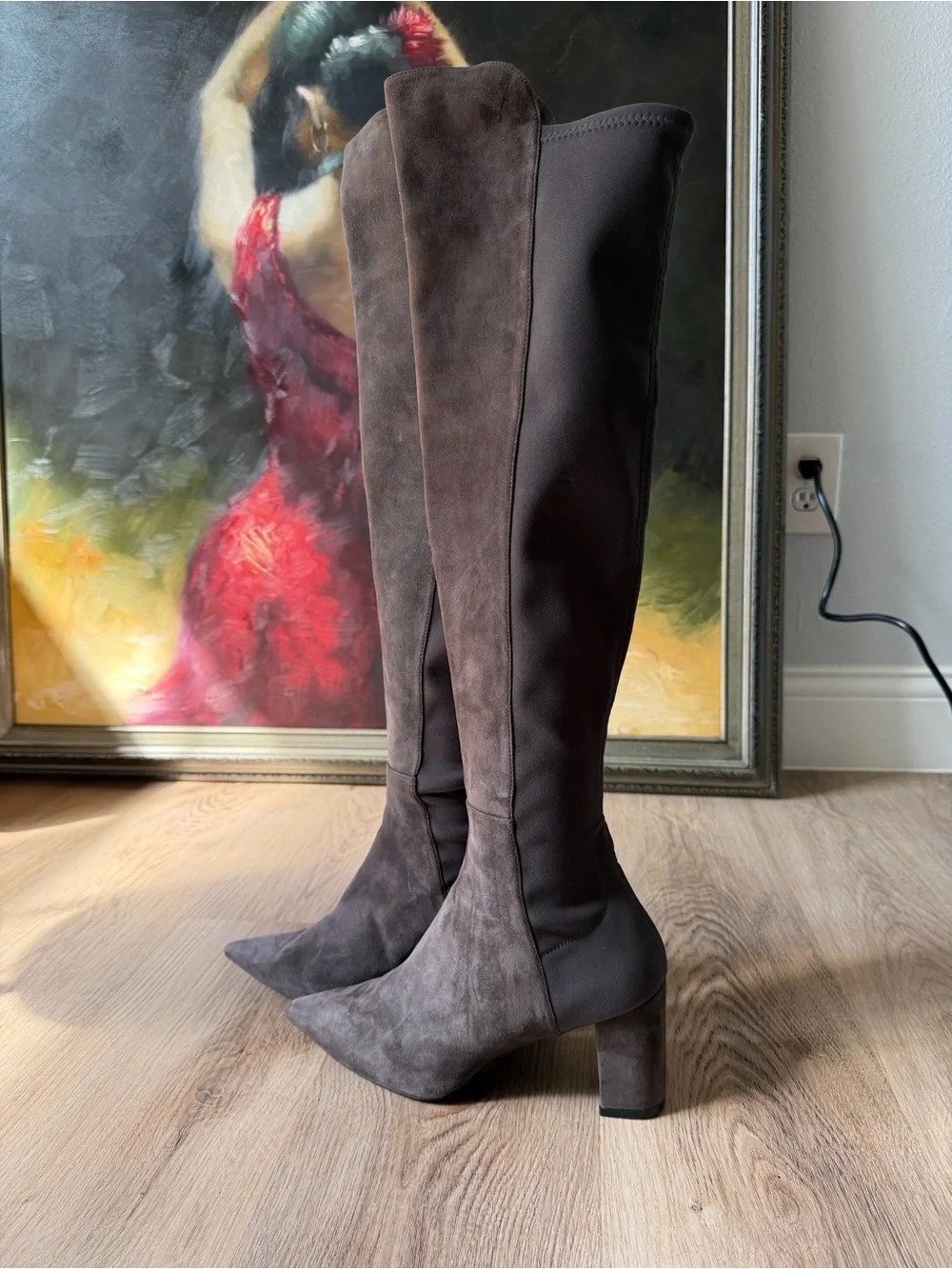 Stuart WeitzmanOver-The-Knee Pointed Toe Suede Boots grey color